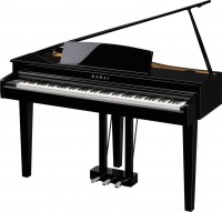 Photos - Digital Piano Kawai DG30 