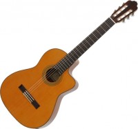 Photos - Acoustic Guitar Esteve 3ECE Cutaway 