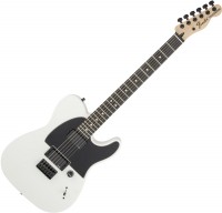 Guitar Fender Jim Root Telecaster 