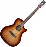 Photos - Acoustic Guitar Framus FG 14 M VS CE 