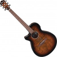 Photos - Acoustic Guitar Ibanez AEG70L 