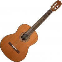 Photos - Acoustic Guitar Salvador Cortez CC-22 
