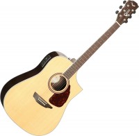 Photos - Acoustic Guitar Samick SGW S-550D 