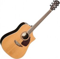 Photos - Acoustic Guitar Samick SGW S-650D 