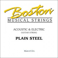 Photos - Strings Boston Acoustics BPL-010 acoustic & electric 