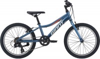 Bike Giant XTC Jr 20 Lite 2021 