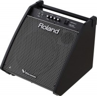 Speakers Roland PM-200 