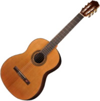 Photos - Acoustic Guitar Salvador Cortez CC-15 