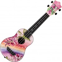 Photos - Acoustic Guitar Flight TUS Alyona Shvetz 