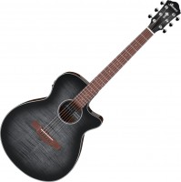 Photos - Acoustic Guitar Ibanez AEG70 