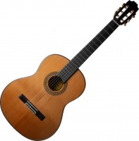 Photos - Acoustic Guitar ALVARO L-290 