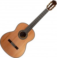Photos - Acoustic Guitar ALVARO L-50 
