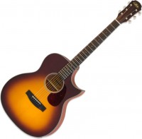 Photos - Acoustic Guitar ARIA 101Ce 