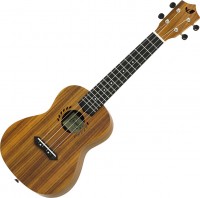 Photos - Acoustic Guitar ARIA LAK-1C 