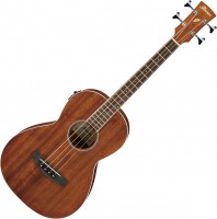 Photos - Acoustic Guitar Ibanez PNB14E 