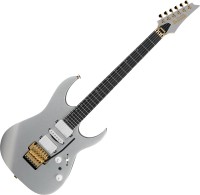 Photos - Guitar Ibanez RG5170G 