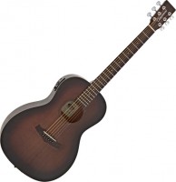 Photos - Acoustic Guitar Tanglewood TWCR PE 