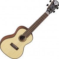 Photos - Acoustic Guitar Baton Rouge Uv41-C-Nsa 