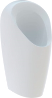 Photos - Urinal Geberit Selva 116081001 