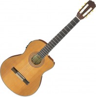 Photos - Acoustic Guitar ARIA A-35Ce