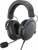 Photos - Headphones HP DHE-8005 