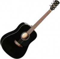 Photos - Acoustic Guitar Samick SGW S-200D 
