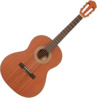 Photos - Acoustic Guitar Samick CNGS9-1 