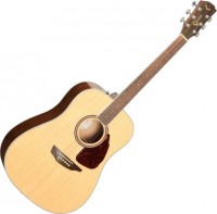 Photos - Acoustic Guitar Samick SGW S-300D 