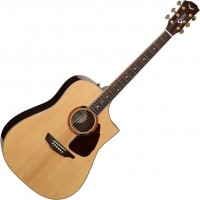 Photos - Acoustic Guitar Samick SGW S-750D 