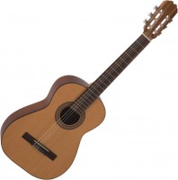 Photos - Acoustic Guitar ALVARO 10 