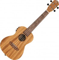 Photos - Acoustic Guitar Ortega RFU11ZE 