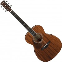 Acoustic Guitar Ibanez AC340L 