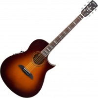Photos - Acoustic Guitar Framus FC 44 SMV 