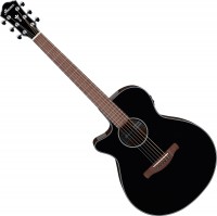Acoustic Guitar Ibanez AEG50L 