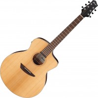Acoustic Guitar Ibanez PA230E 
