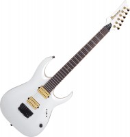 Guitar Ibanez JBM10FX 