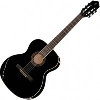 Photos - Acoustic Guitar Harley Benton Santos Series C-40S 