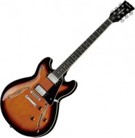 Photos - Guitar Harley Benton HB-35 