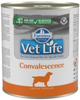 Photos - Dog Food Farmina Vet Life Canned Convalescence 300 g 1