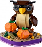 Photos - Construction Toy Lego Halloween Owl 40497 
