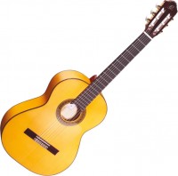 Photos - Acoustic Guitar Ortega R270F 