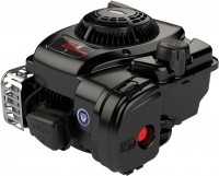 Photos - Engine Briggs&Stratton 300E Series 