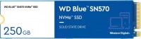 Photos - SSD WD Blue SN570 WDS250G3B0C 250 GB