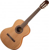 Photos - Acoustic Guitar Prodipe JMFSTUDENT4/4 