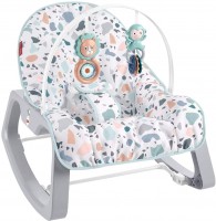 Photos - Baby Swing / Chair Bouncer Fisher Price GWD39 