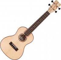 Photos - Acoustic Guitar Cordoba 24C Spruce 