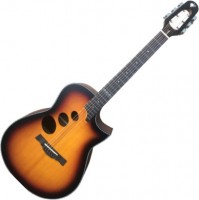 Photos - Acoustic Guitar Alfabeto Gamma 