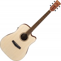 Photos - Acoustic Guitar Ibanez PF10CE 