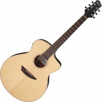 Acoustic Guitar Ibanez PA300E 