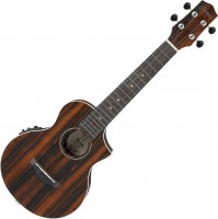 Acoustic Guitar Ibanez UEW13MEE 
